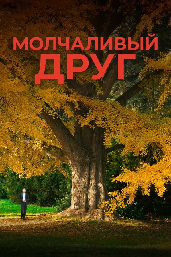Молчаливый друг